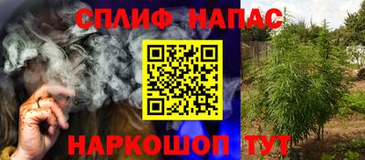крисы Боровичи