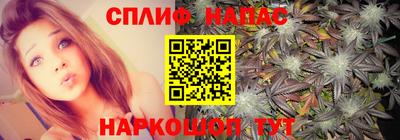 гидра Белореченск
