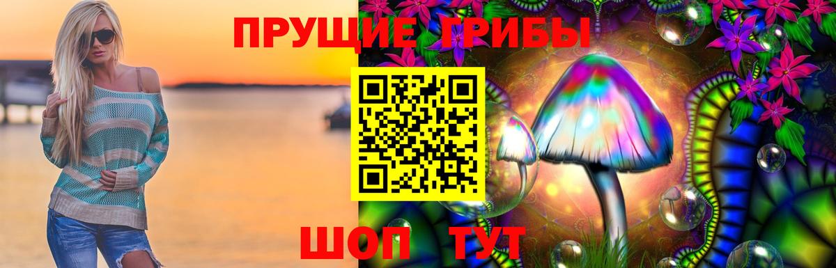 Галлюциногенные грибы Psilocybine cubensis Советский